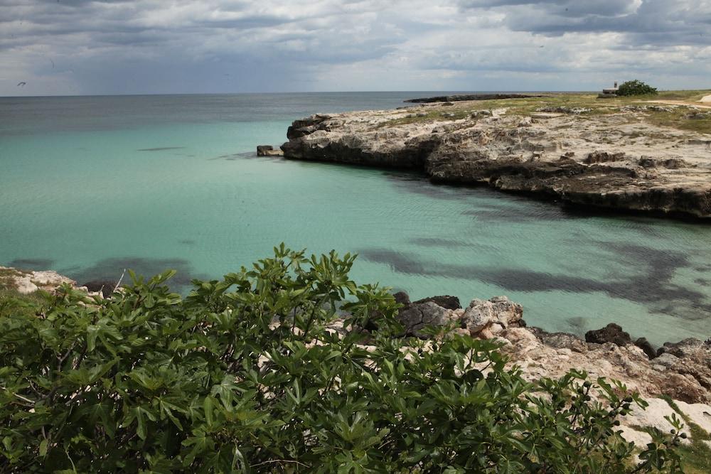 Playa Del Mar - Adults Only Bed & Breakfast Monopoli Bagian luar foto