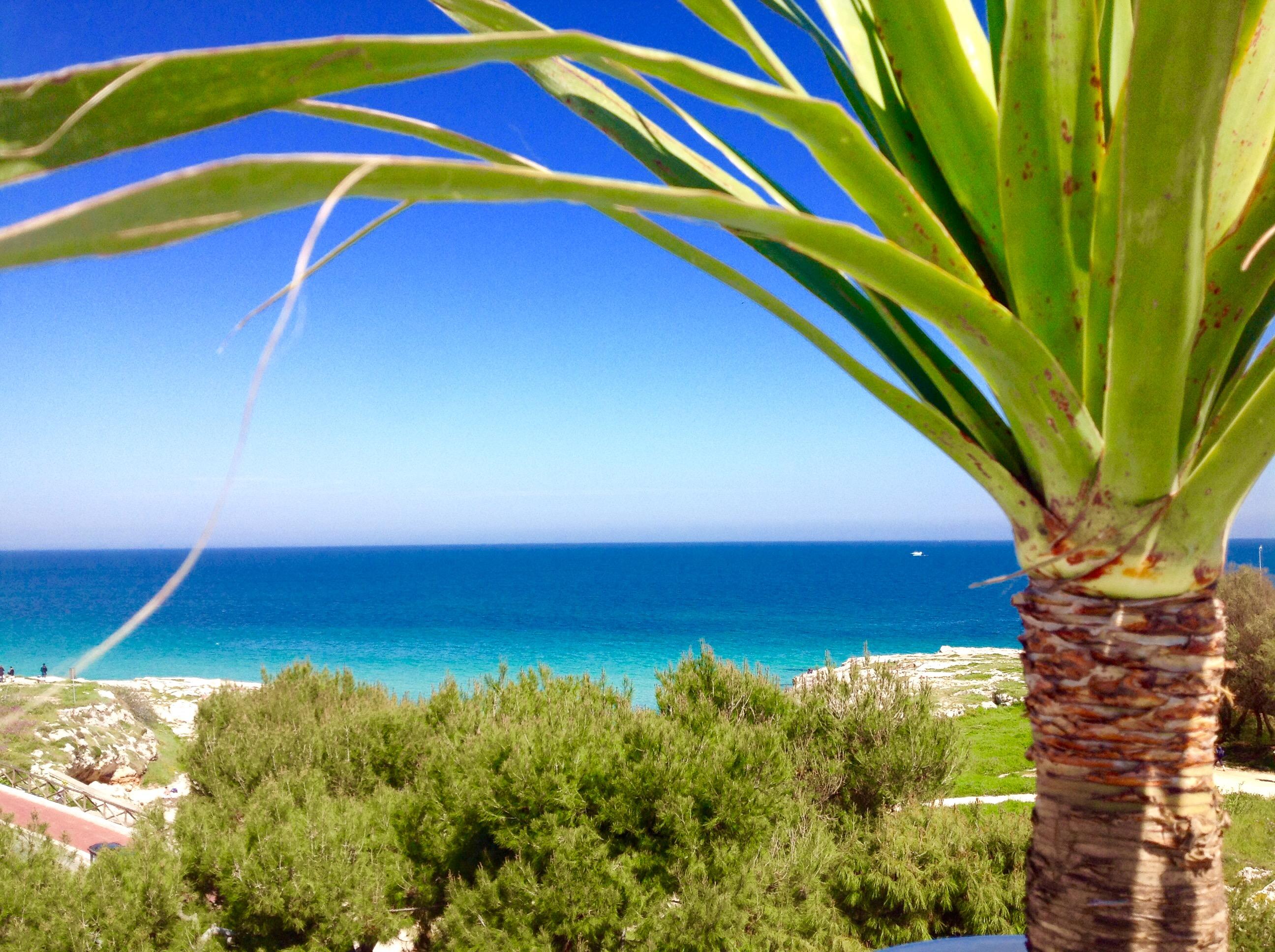 Playa Del Mar - Adults Only Bed & Breakfast Monopoli Bagian luar foto