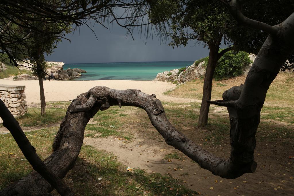 Playa Del Mar - Adults Only Bed & Breakfast Monopoli Bagian luar foto