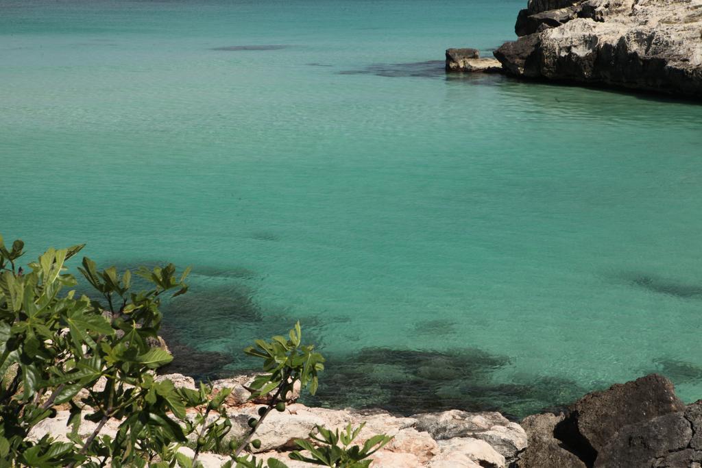 Playa Del Mar - Adults Only Bed & Breakfast Monopoli Bagian luar foto