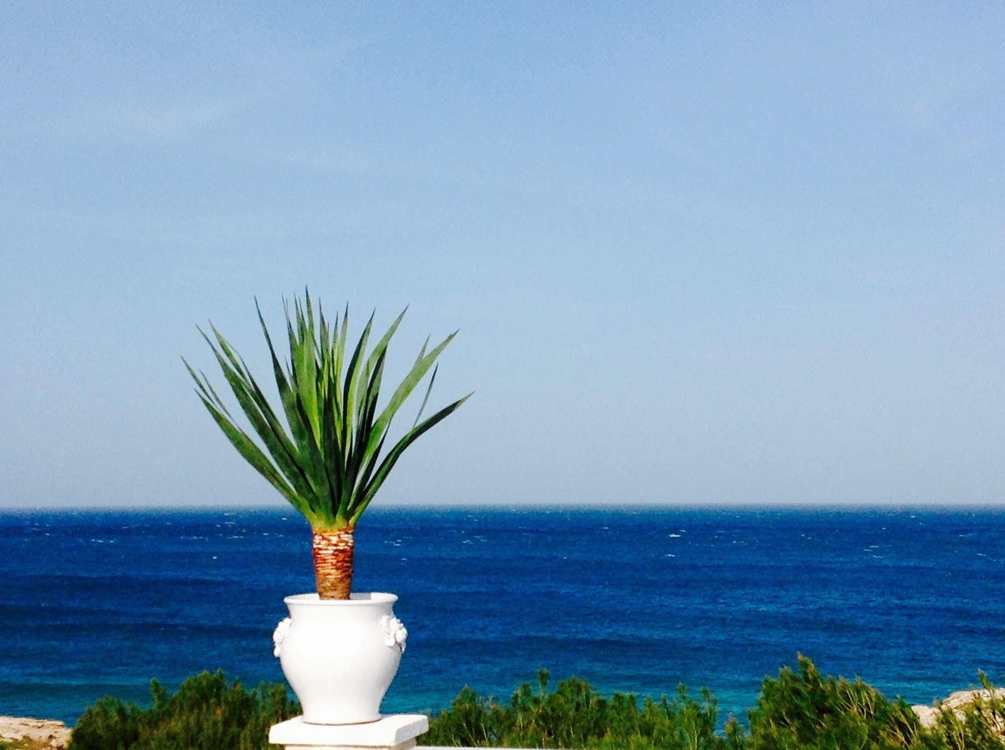 Playa Del Mar - Adults Only Bed & Breakfast Monopoli Bagian luar foto